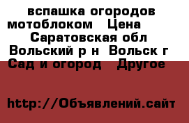 вспашка огородов мотоблоком › Цена ­ 350 - Саратовская обл., Вольский р-н, Вольск г. Сад и огород » Другое   